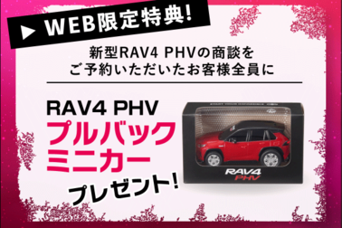 RAV4CP