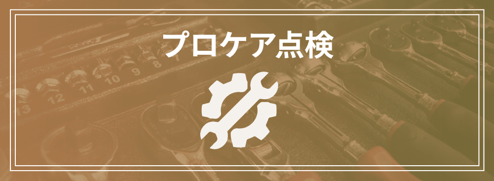 プロケア点検（乗用車）